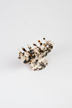 Hair Clip Midi Nacar Mixed